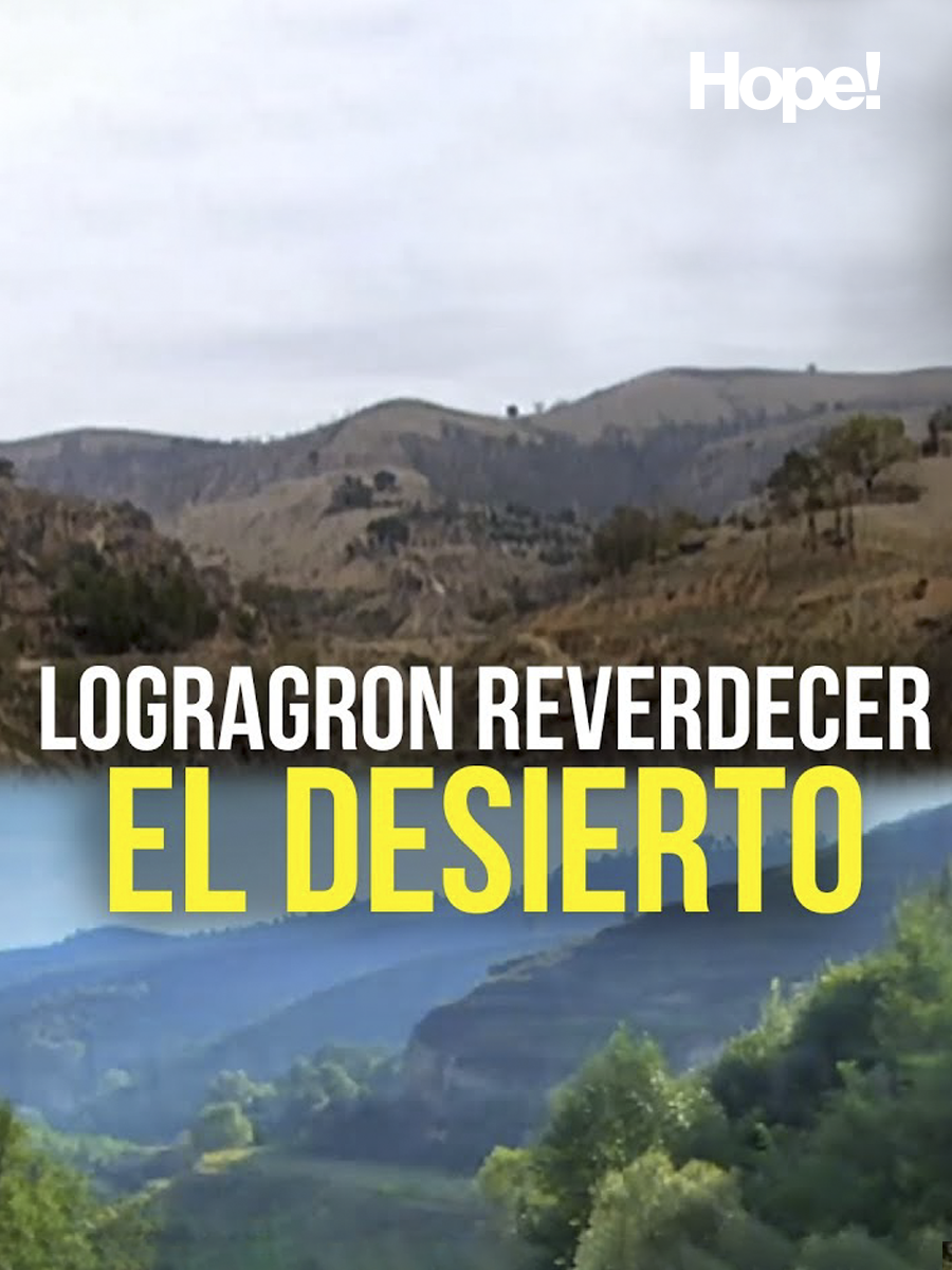 Lograron REVERDECER el DESIERTO ¿Cómo lo hicieron?